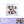ALPHA DRIVE ONE 1st Mini Album - [EUPHORIA] (JEWEL CASE ver. + EXCLUSIVE PHOTOCARD) - EVE PINK K-POP