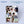 AEN (에이엔) THE 1ST EP ALBUM - [A NEW ERA OF NOW] (Everywhere Ver.)