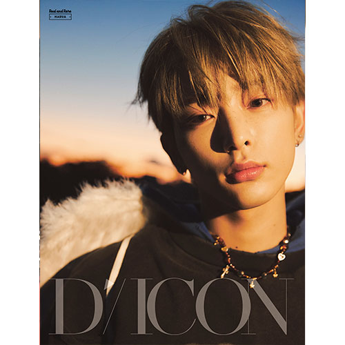 DICON VOLUME N°28 - [&TEAM : B-TYPE Real and Rare]