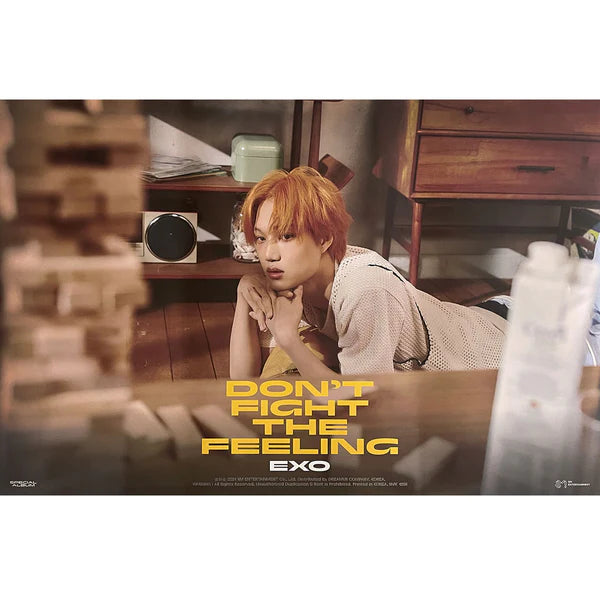 EXO - DON'T FIGHT THE FEELING (EXPANSION VER) OFFICIAL POSTER - KAI