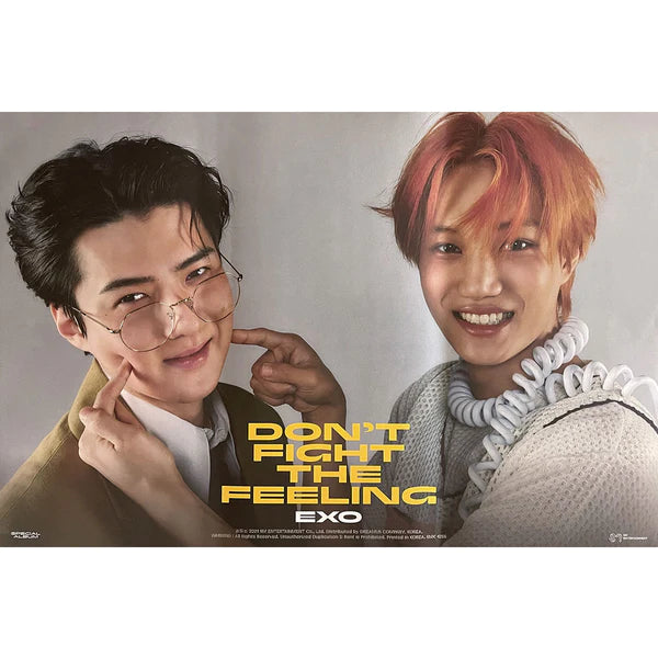 EXO - DON'T FIGHT THE FEELING (EXPANSION VER) OFFICIAL POSTER - UNIT SEHUN & KAI