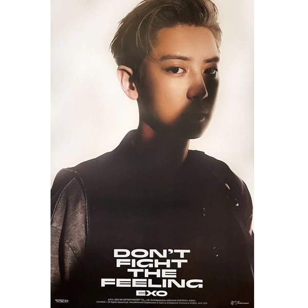 EXO - DON'T FIGHT THE FEELING (JEWEL CASE VER) OFFICIAL POSTER - CHANYEOL