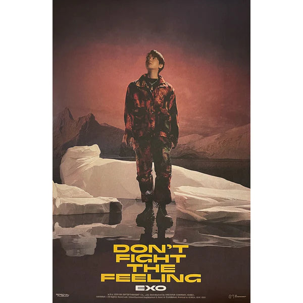 EXO - DON'T FIGHT THE FEELING (PHOTOBOOK A VER) OFFICIAL POSTER - BAEKHYUN