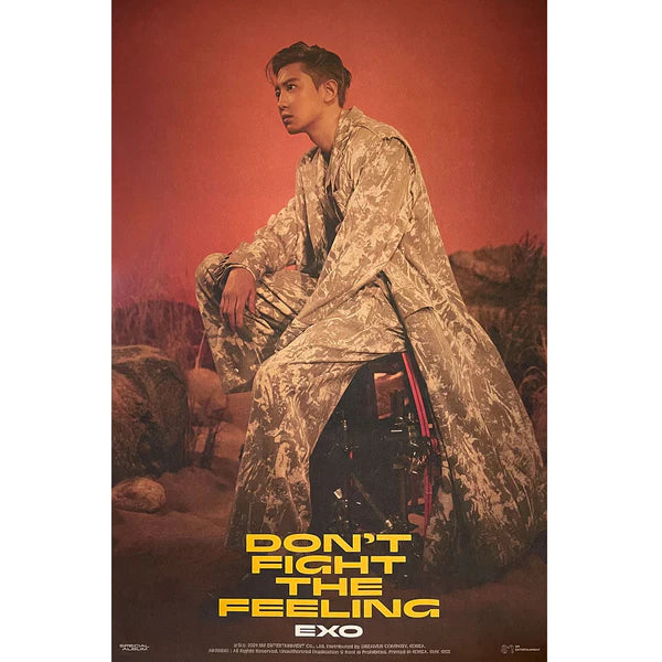 EXO - DON'T FIGHT THE FEELING (PHOTOBOOK A VER) OFFICIAL POSTER - CHANYEOL