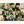 STRAY KIDS (스트레이키즈) JAPAN ALBUM - [Hollow]