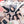 ITZY (있지) 2nd Japanese Album - [Collector]