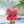 BT21 (BTS) SPLASH EDITION OFFICIAL - [DOLL KEYRING]