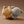BT21 - [BABY PLUSH MORE FLUFFY]