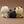 BT21 - [BABY PLUSH MORE FLUFFY]