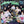ZEROBASEONE (제로베이스원) 1st Full Album - [NEVER SAY NEVER] (DIGIPACK Ver.)
