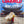 CGWORLD - VOL.317 JANUARY 2025