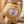 BT21 - [BABY PLUSH MORE FLUFFY]