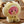 BT21 - [BABY PLUSH MORE FLUFFY]
