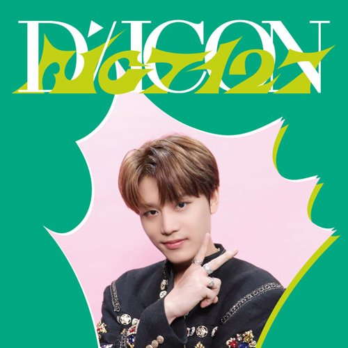 NCT 127 (D'FESTA) DISPATCH - [DICON MINI EDITION]