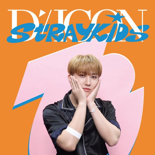 STRAY KIDS (D'FESTA) DISPATCH - [DICON MINI EDITION]