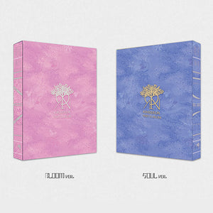 KINGDOM (킹덤) ALBUM - [History Of Kingdom : Part Ⅵ. Mujin]