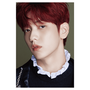 TXT (D'FESTA) DISPATCH 10th ANNIVERSARY - EVE PINK K-POP