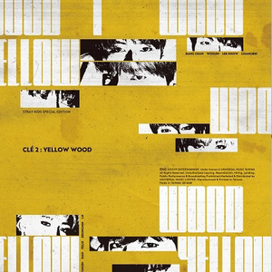 STRAY KIDS (스트레이키즈) SPECIAL ALBUM - (REGULAR) [Clé 2 : Yellow Wood] - Eve Pink K-POP