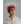 NCT 127 (엔씨티 127) JAPAN 2ND MINI ALBUM - [LOVEHOLIC] LIMITED VER. - EVE PINK K-POP